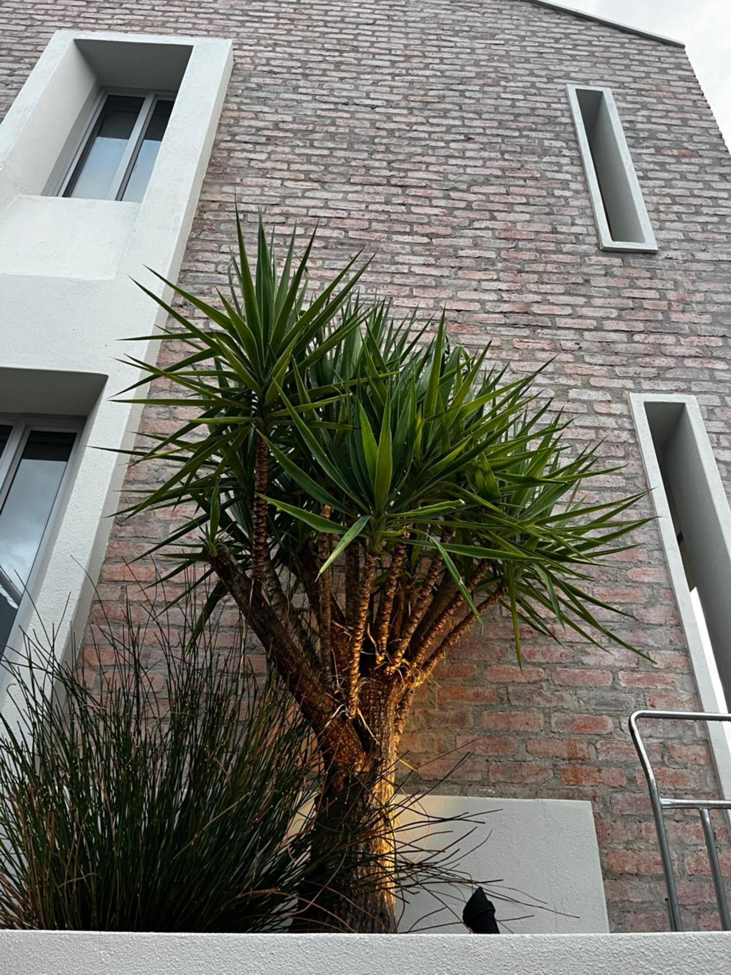 The Windhoek Luxury Suites Exteriör bild