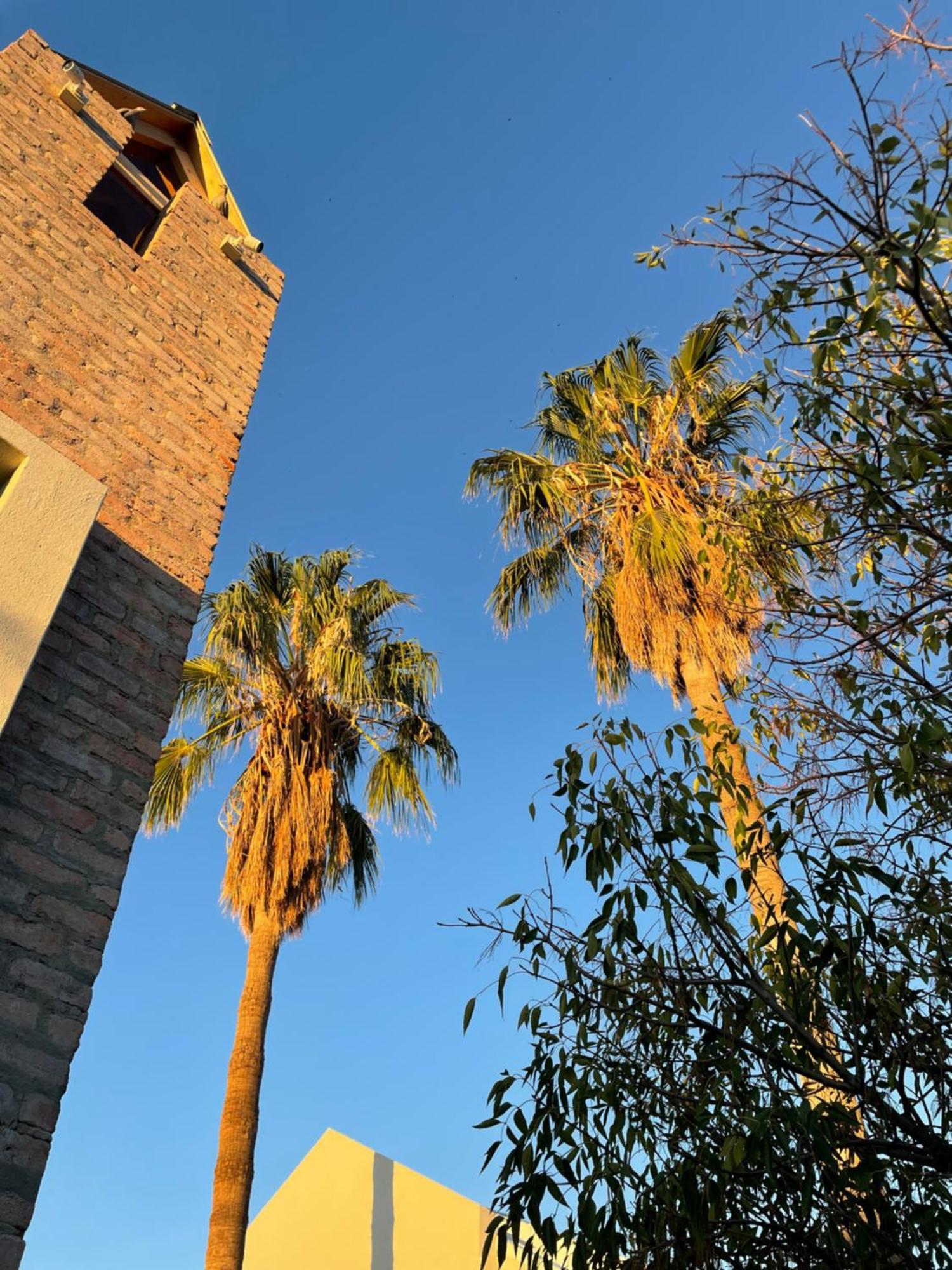 The Windhoek Luxury Suites Exteriör bild
