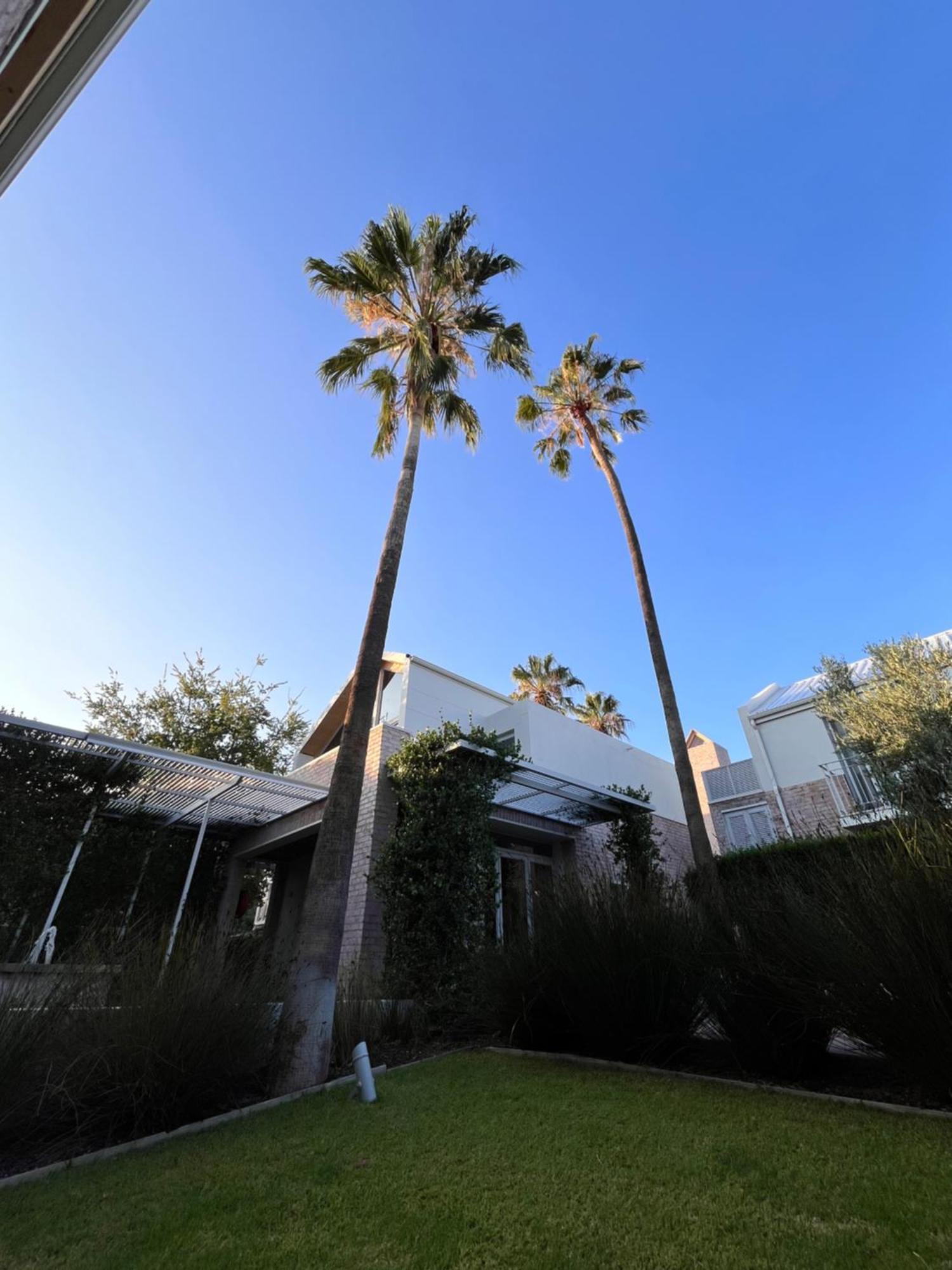 The Windhoek Luxury Suites Exteriör bild